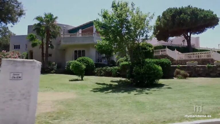 Asociaciones Deportivas en Martos: Un Panorama Completo