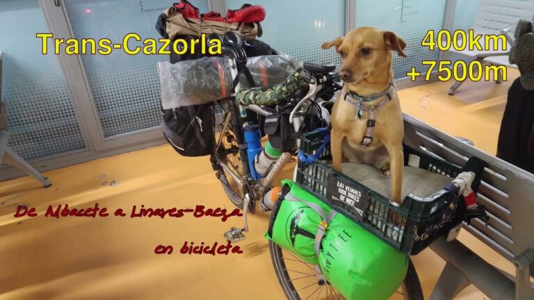Senderismo con Perros: Mejores Rutas en Baeza