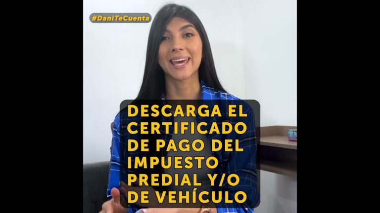 D&oacute;nde Pagar el Impuesto de Veh&iacute;culos en La Carolina