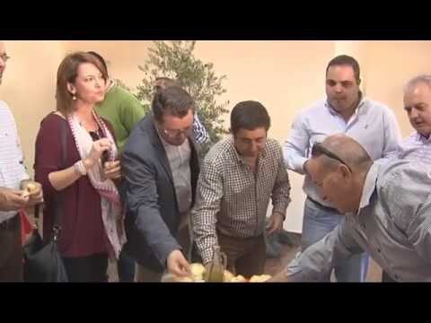 Gu&iacute;a para Encontrar Mercados Ecol&oacute;gicos en Martos