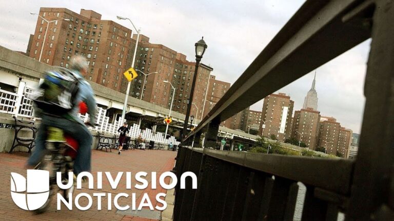 Gu&iacute;a para Solicitar Ayuda al Alquiler en La Carolina