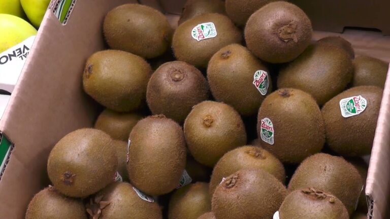 Gu&iacute;a para comprar frutas y verduras frescas en Ja&eacute;n
