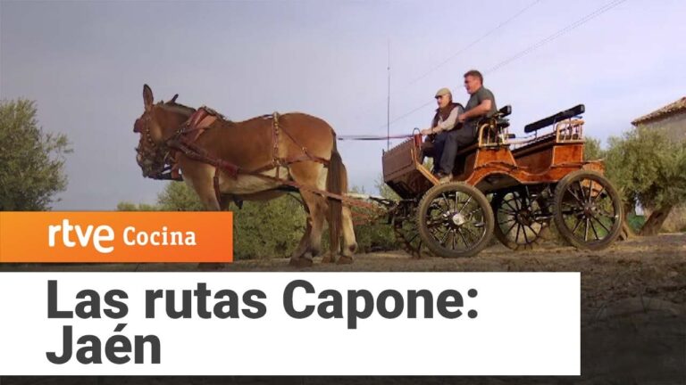 Rutas de monta&ntilde;a desde Baeza: Explorando la naturaleza cercana