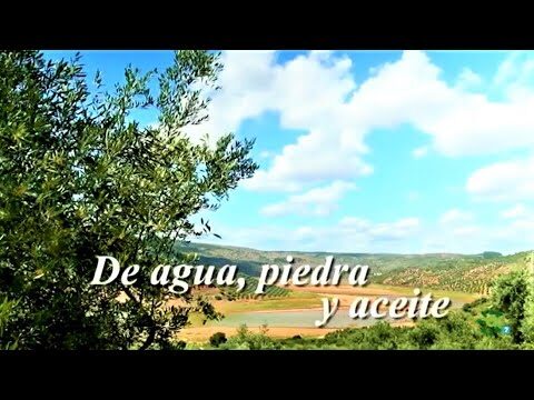 Zonas Verdes con Mayor Sombra en Jaén