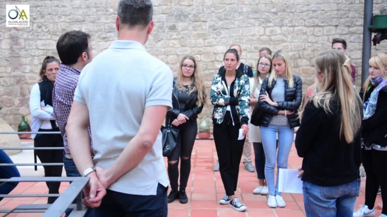Catas de Aceite en Baeza: Descubre los Mejores Lugares