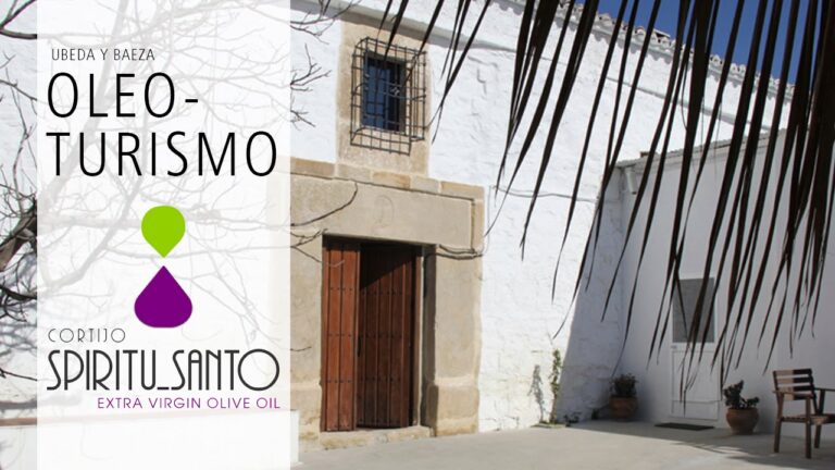 Caf&eacute;s ideales para disfrutar con amigos en &Uacute;beda