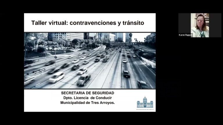 Gu&iacute;a para Denunciar Problemas de Transporte P&uacute;blico en Linares